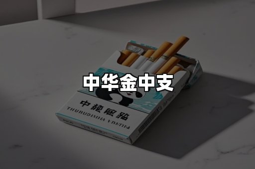 中华金中支